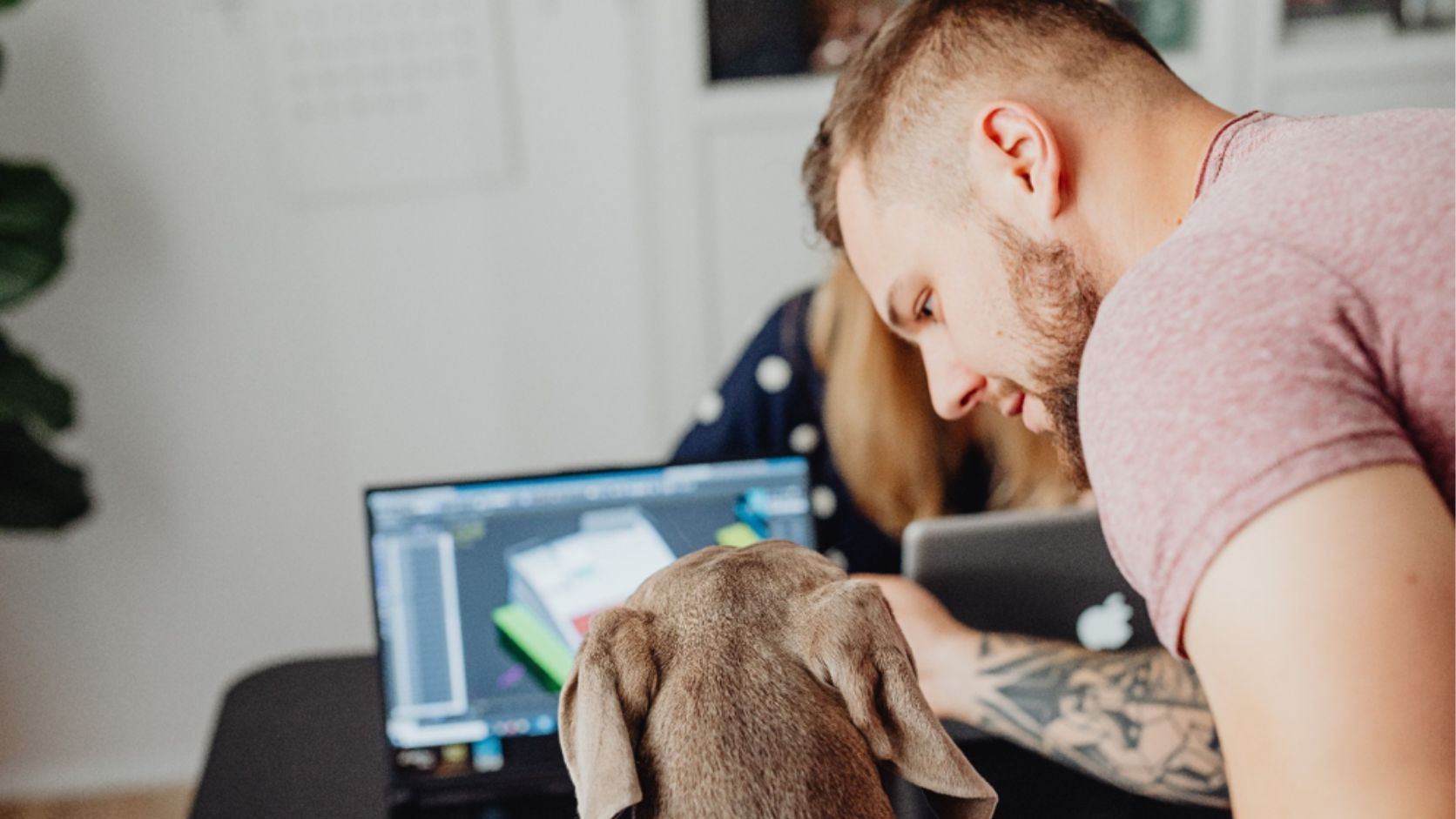 responsabilita-datore-lavoro-cane-ufficio