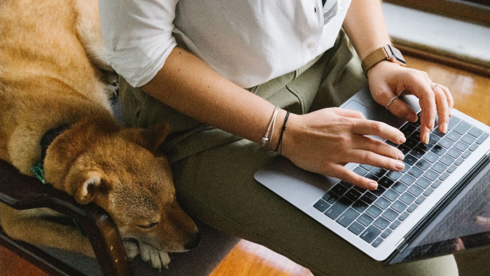 equilibrio-produttivita-cane-ambiente-lavoro